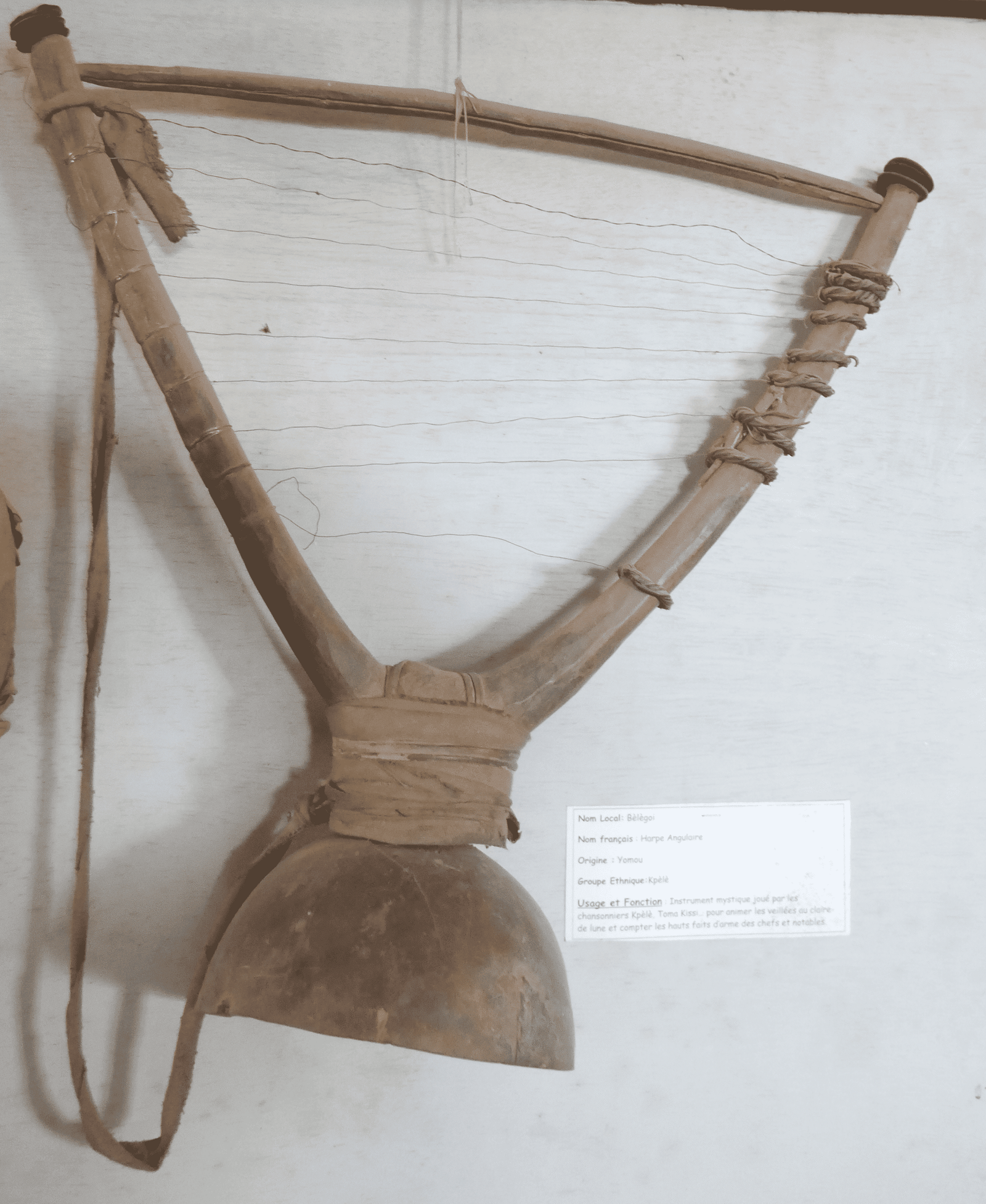 HARPE ANGULAIRE